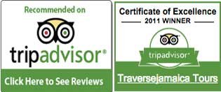 travise-jamaica-tours-recommended-on-tripadvisor