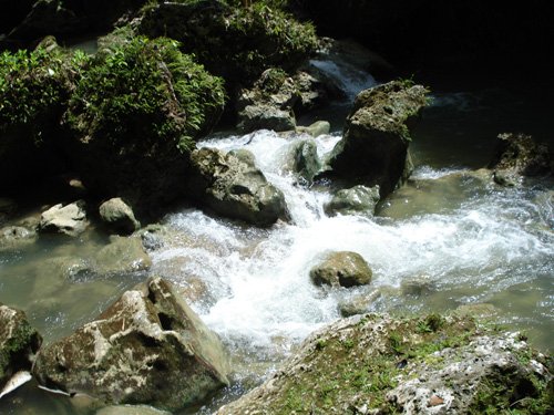 DSC01630