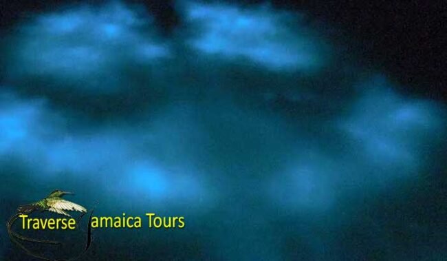 Luminous-Lagoon-and-Glistening-Waters