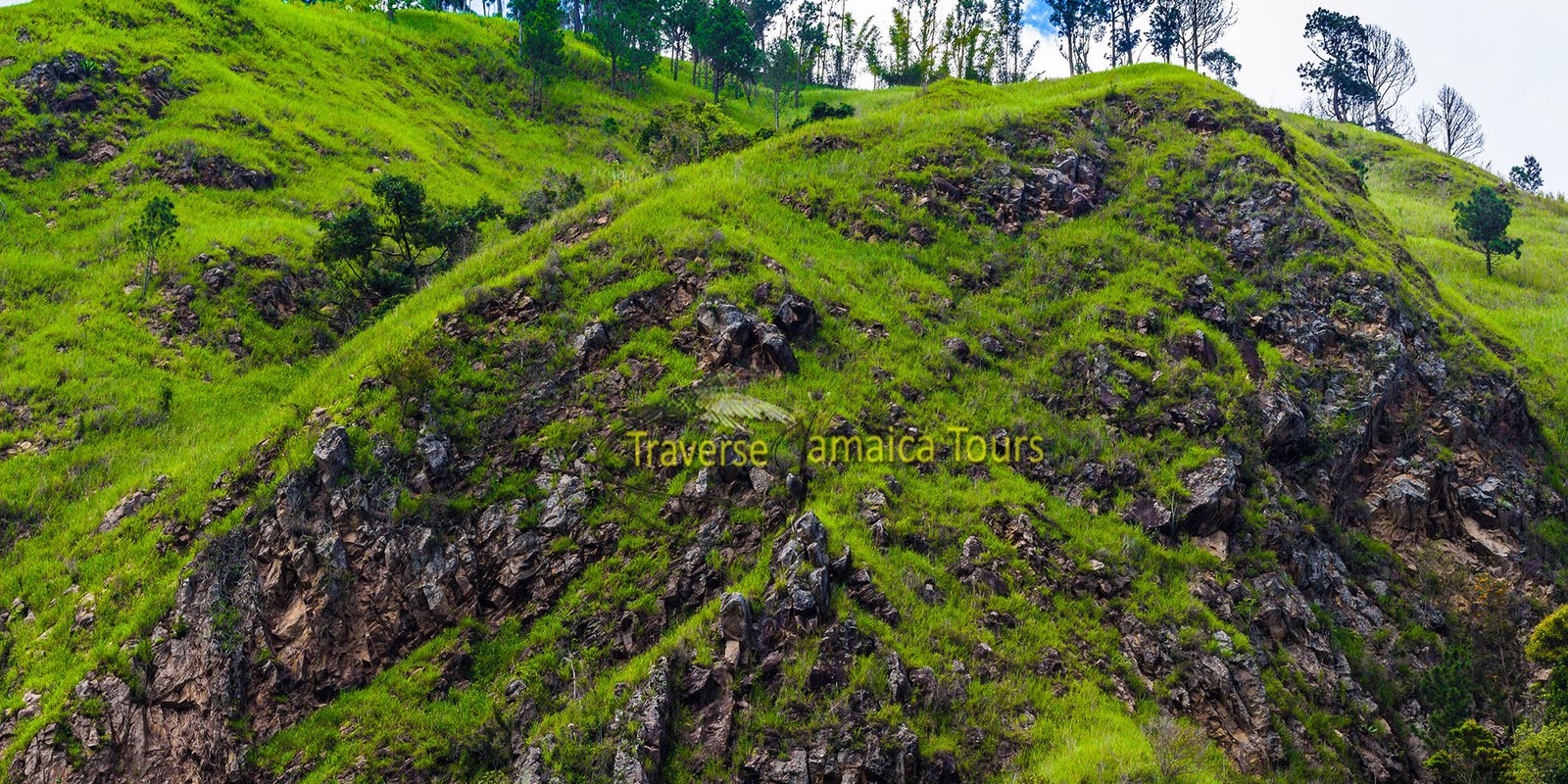 blue-mountain-001