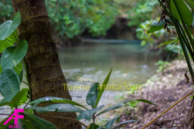white-river-tubing-006