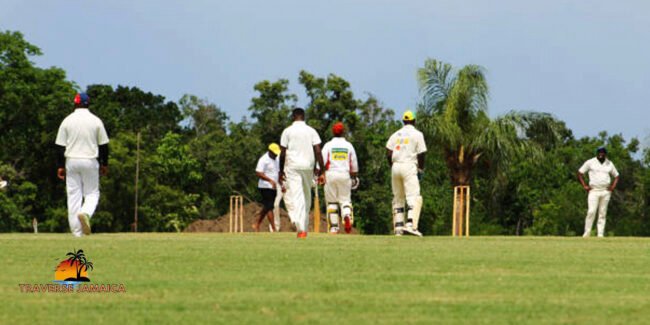 Cricket in Jamaican