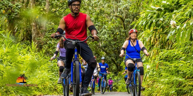 Blue Mountain Bicycle Tour
