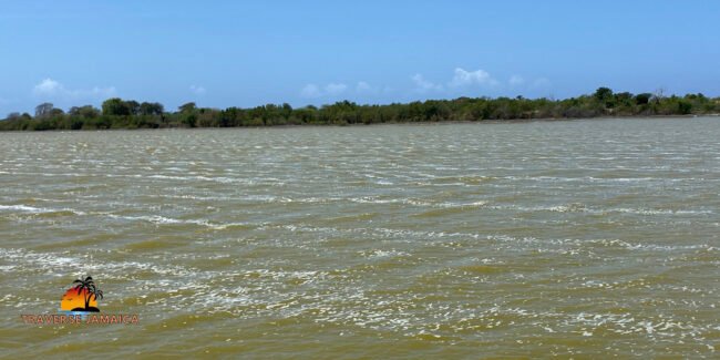 Yallahs Salt Ponds