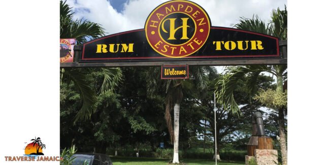 Discover Hampden Estate