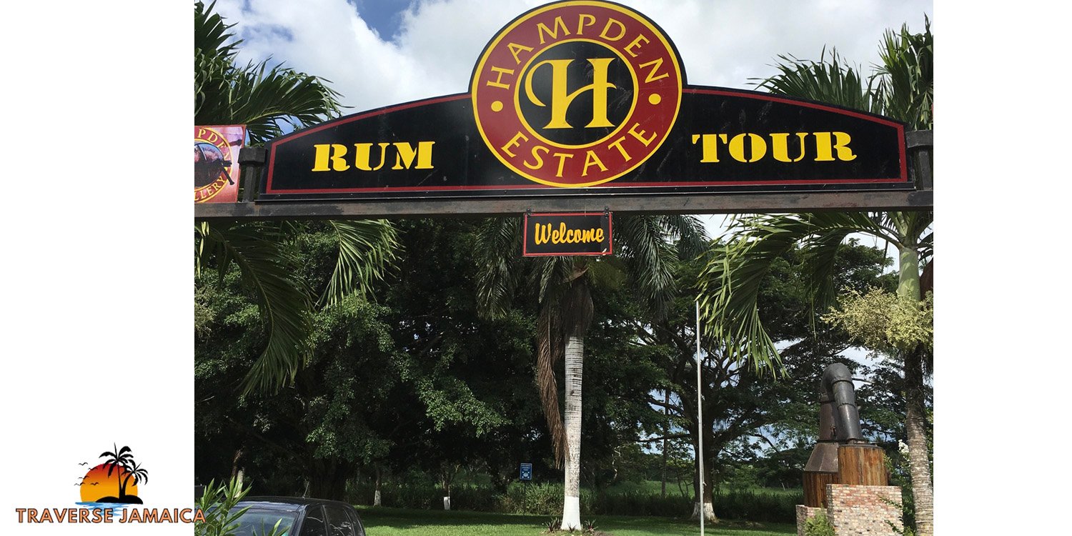Discover Hampden Estate