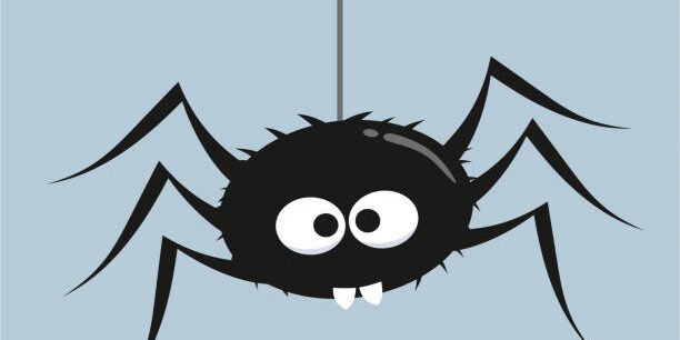 spider
