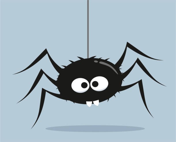 spider
